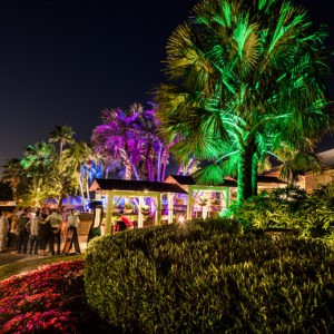 Florida, KDM-7 Corp, LED Landscape Lighting, LED Lighting, Tampa